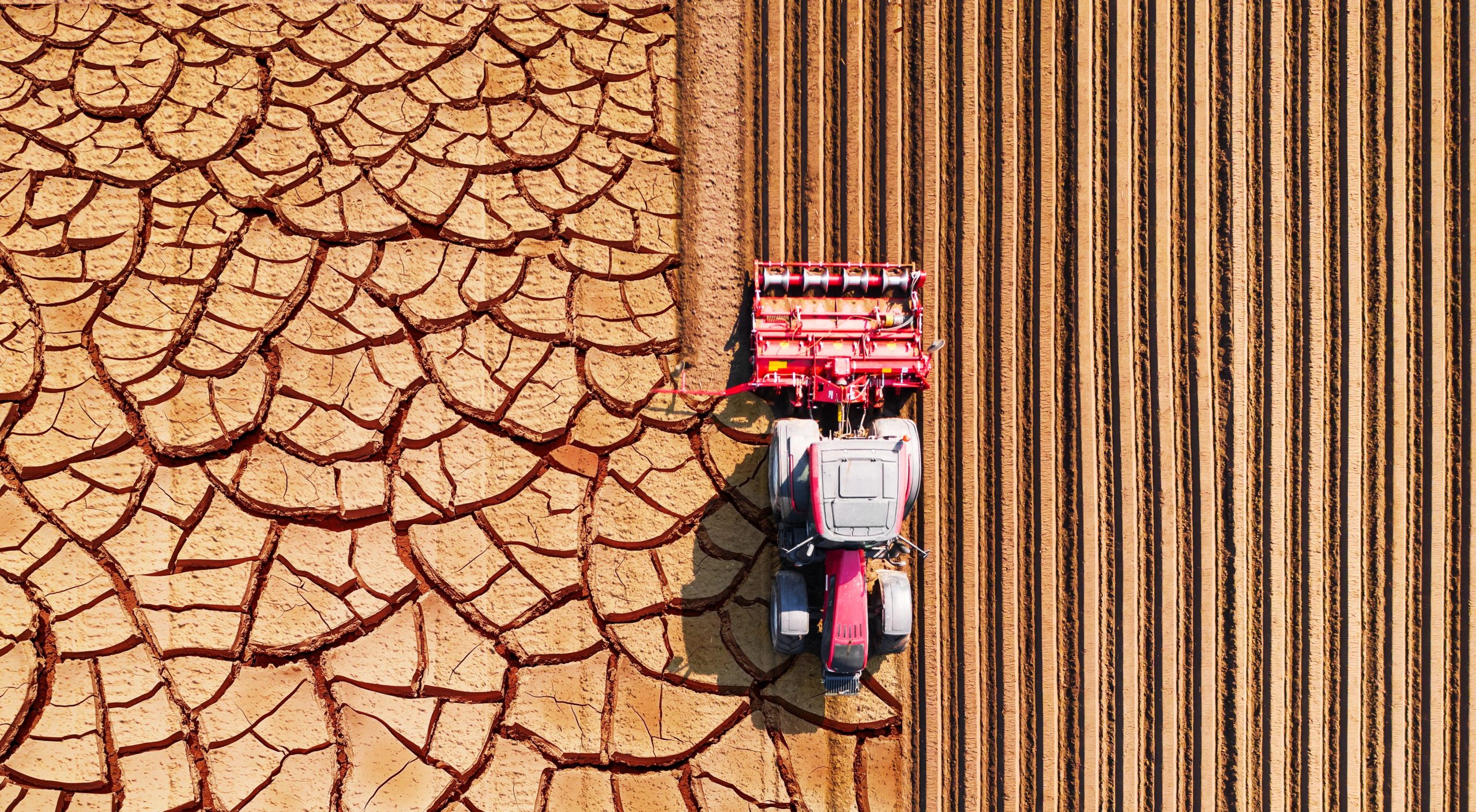 CLIMATE CRISIS : Drought warning: El Niño on steroids is on the horizon