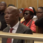 Malema’s lawyer argues possession of firearm doesnt carry jail sentence