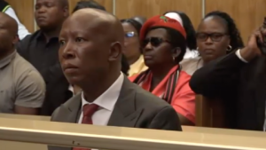 Malema’s lawyer argues possession of firearm doesnt carry jail sentence