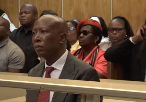 Malema’s lawyer argues possession of firearm doesnt carry jail sentence