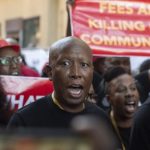 EFF: Case against Malema ”direct attack’ on party