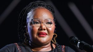 HISTORY OVERHAUL: Have your say as draft history curriculum recasts the past through an African lens