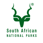 Bridge collapse disrupts access to Kruger National Park