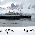 UNHAPPY FEET: Antarctica’s endangered emperor penguins under siege from thinning ice and cruise ships