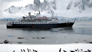 UNHAPPY FEET: Antarctica’s endangered emperor penguins under siege from thinning ice and cruise ships