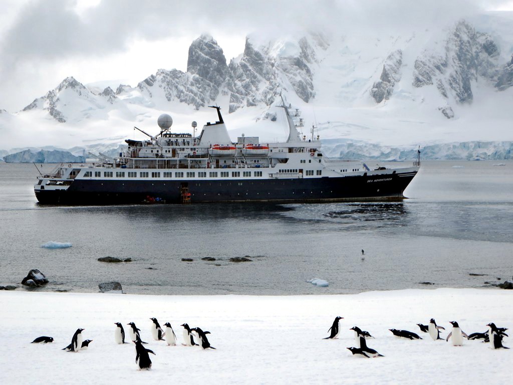 UNHAPPY FEET: Antarctica’s endangered emperor penguins under siege from thinning ice and cruise ships