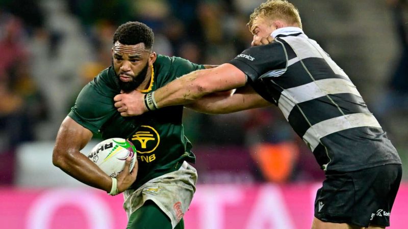 Rassie excited to test depth against Barbarians and Zimbabwe