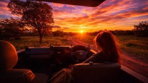 Newsletters: I have a picture for you! 18 April-24 April 2026