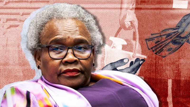 SPECIAL REPORT: REVEALED: Minister Tolashe’s state-funded nanny — and the daughter who took half her salary