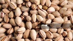 SA eyes global pistachio market windfall