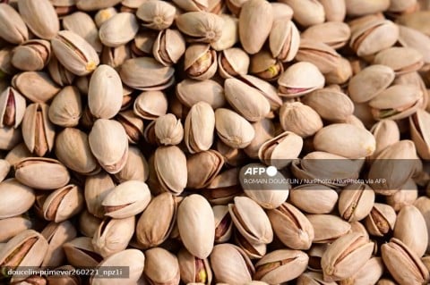 SA eyes global pistachio market windfall