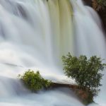 Newsletters: I have a picture for you! 25 April-30 April 2026