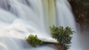 Newsletters: I have a picture for you! 25 April-30 April 2026