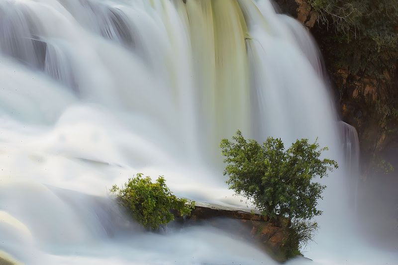 Newsletters: I have a picture for you! 25 April-30 April 2026