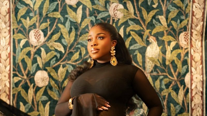 Veekee James Shows Off Her Baby Bump in a Gorgeous Sheer Black Dress | See Photos